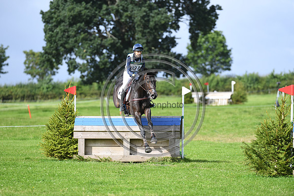 Burgham International Horse