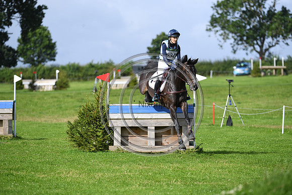 Burgham International Horse