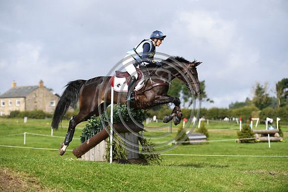 Burgham International Horse