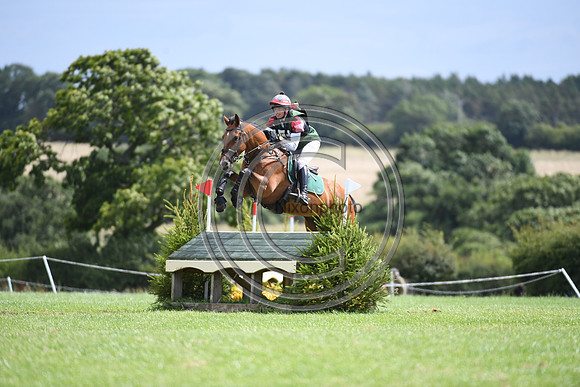 Burgham International Horse