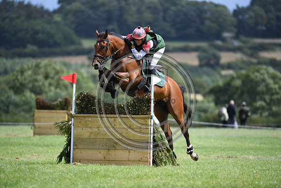 Burgham International Horse