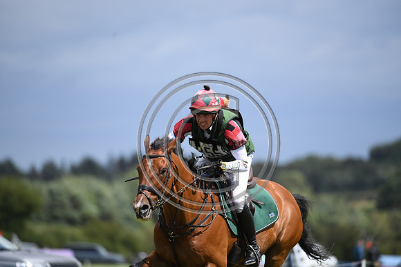 Burgham International Horse