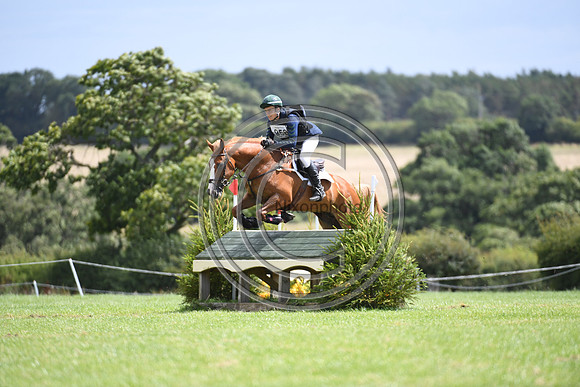 Burgham International Horse