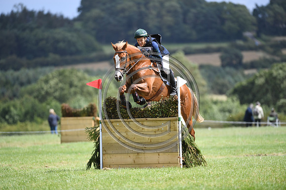 Burgham International Horse