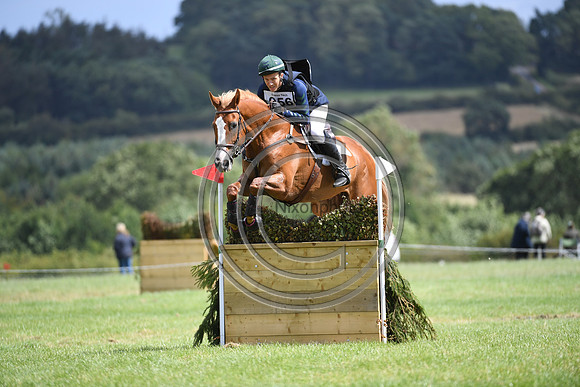 Burgham International Horse
