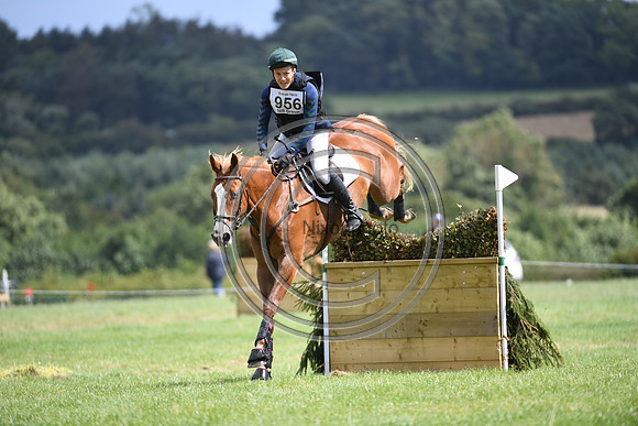 Burgham International Horse