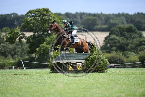 Burgham International Horse