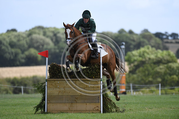 Burgham International Horse