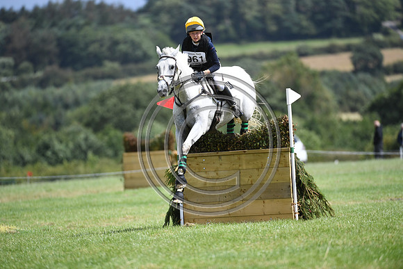Burgham International Horse