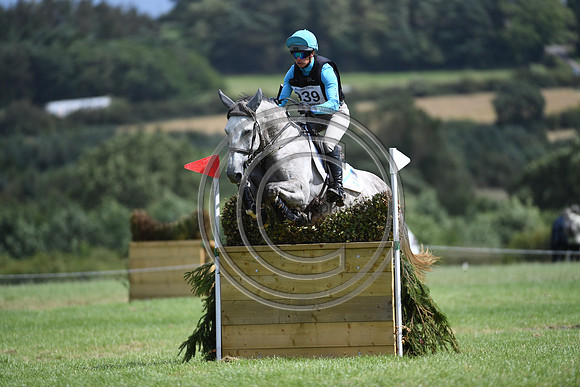Burgham International Horse