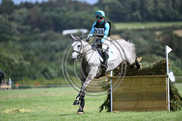 Burgham International Horse