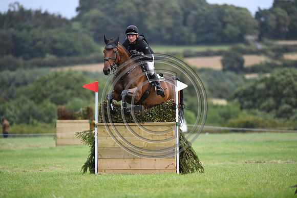 Burgham International Horse