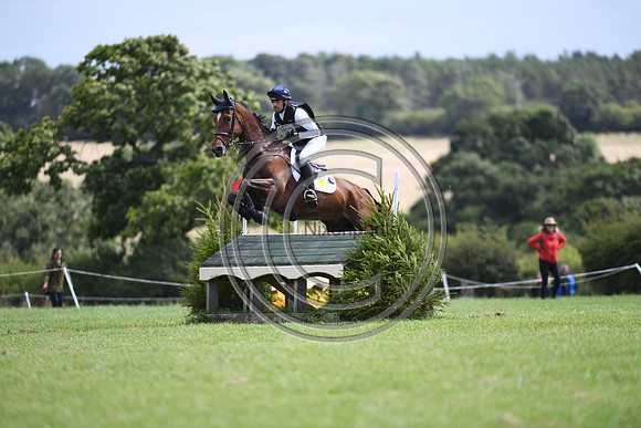 Burgham International Horse