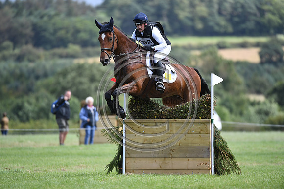 Burgham International Horse