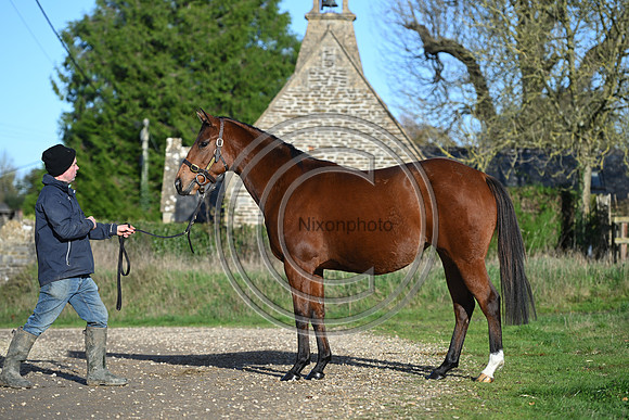 Mare_Selwood_PN71