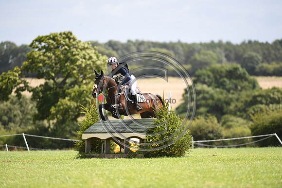 Burgham International Horse