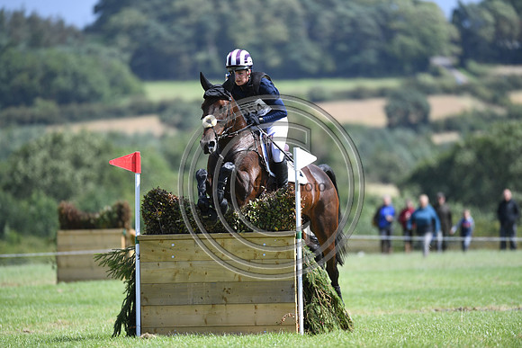 Burgham International Horse