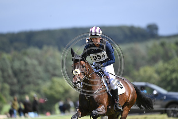 Burgham International Horse
