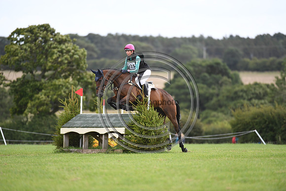 Burgham International Horse