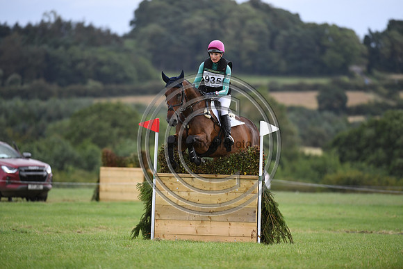 Burgham International Horse
