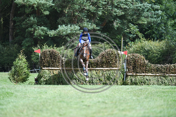 Burgham International Horse