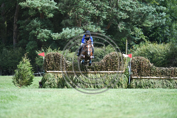 Burgham International Horse