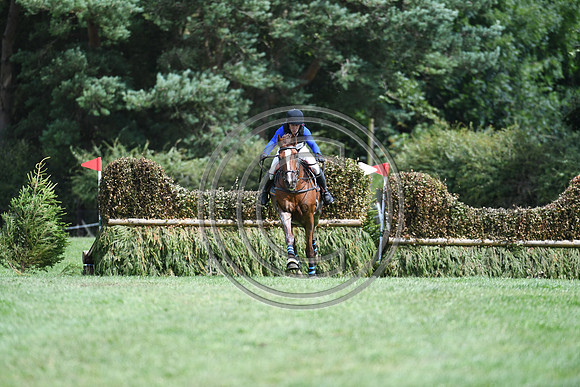 Burgham International Horse