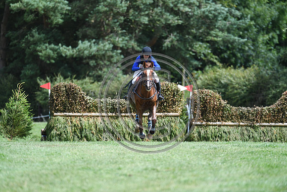Burgham International Horse