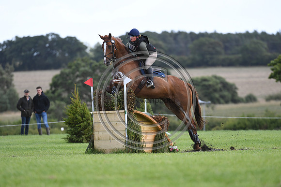 Burgham International Horse