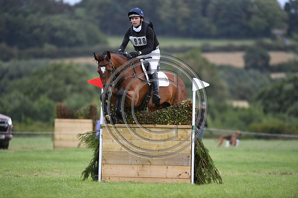 Burgham International Horse