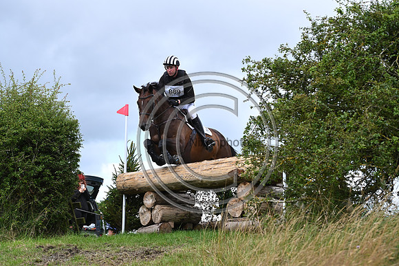 Burgham International Horse