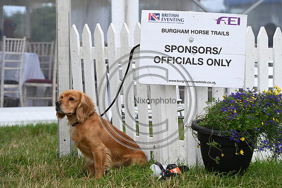 Burgham International Horse Trials