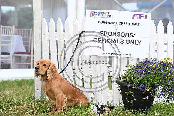 Burgham International Horse Trials