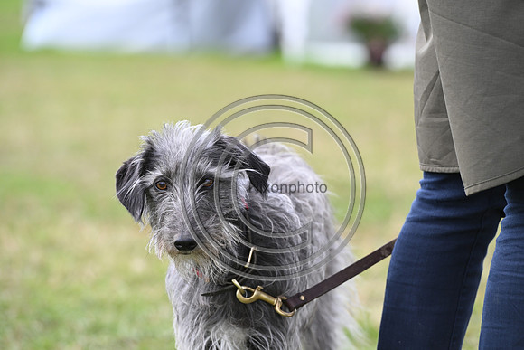 Burgham International Horse Trials