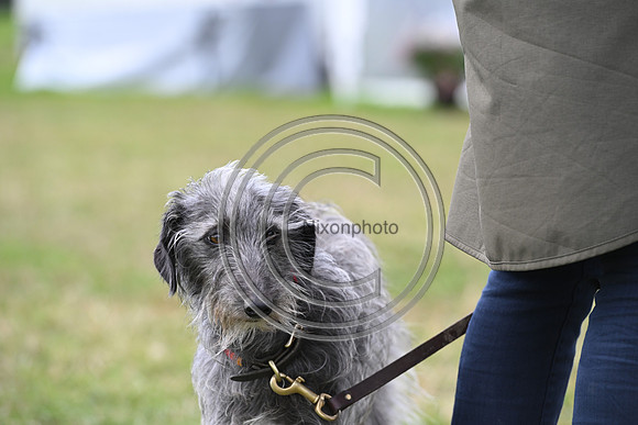 Burgham International Horse Trials