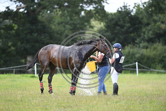 Burgham International Horse