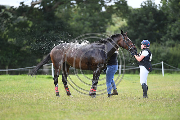 Burgham International Horse