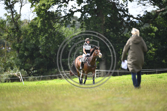Burgham International Horse