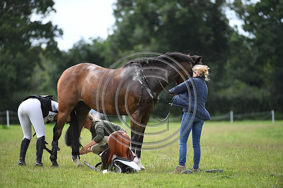 Burgham International Horse