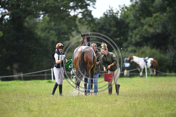 Burgham International Horse