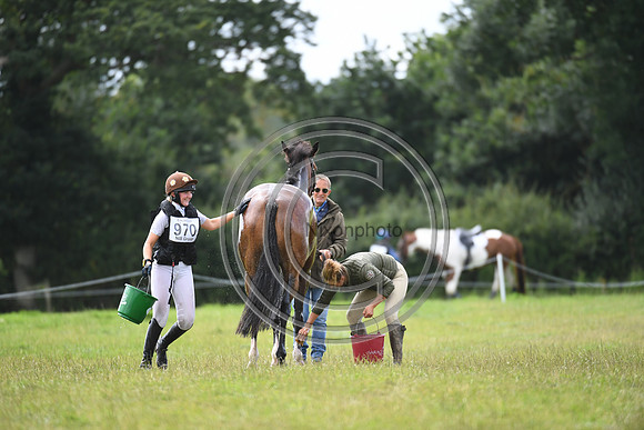 Burgham International Horse