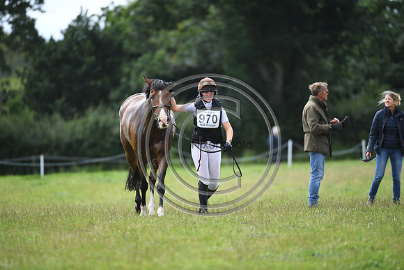 Burgham International Horse