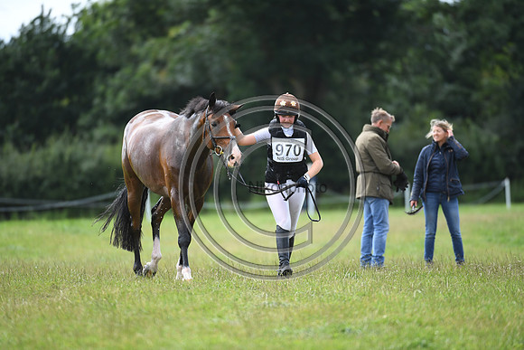 Burgham International Horse