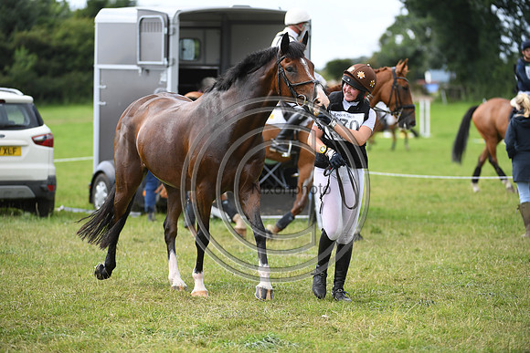Burgham International Horse