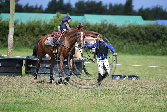 Burgham International Horse