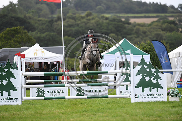 Burgham International Horse