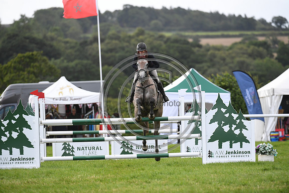 Burgham International Horse