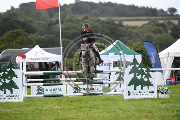 Burgham International Horse
