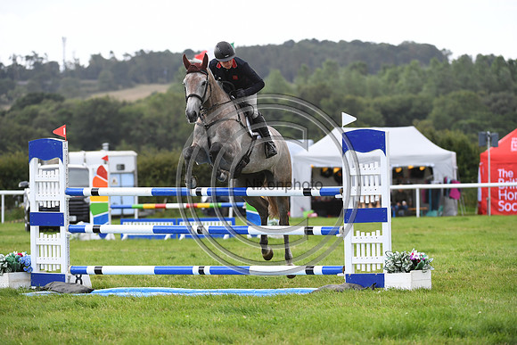 Burgham International Horse
