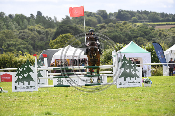 Burgham International Horse